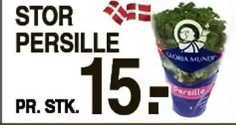 Stor Persille