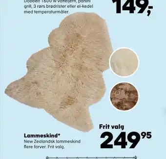 Lammeskind