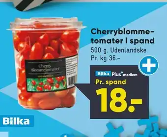 Bilka Cherry blommetomater i spand tilbud