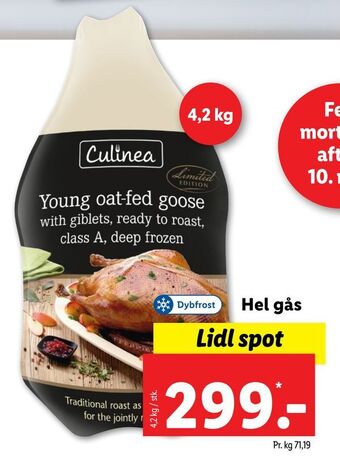 Hel gås