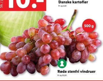 Røde stenfri vindruer
