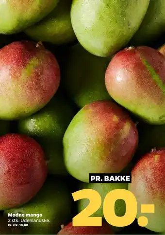 Netto Modne mango tilbud
