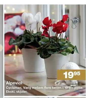 Alpeviol
