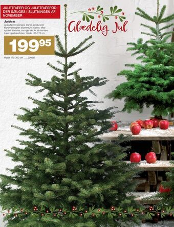 Juletræ