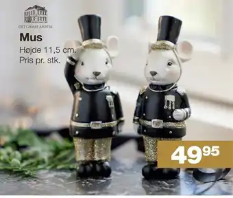 Bauhaus Mus tilbud