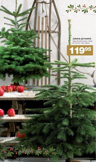 Bauhaus Juletræ på træfod tilbud