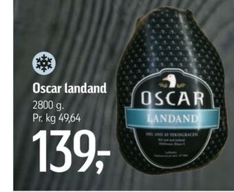 Føtex Oscar and tilbud