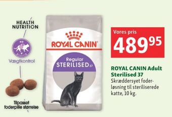 Maxi Zoo Royal canin kattefoder tilbud