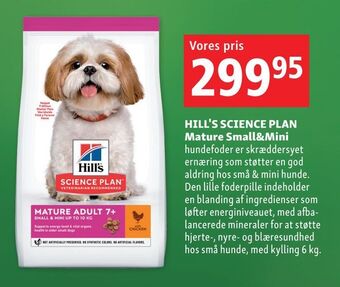 Maxi Zoo Hill's science plan mature small&mini tilbud