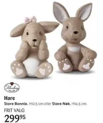 Hare Store Bonnie