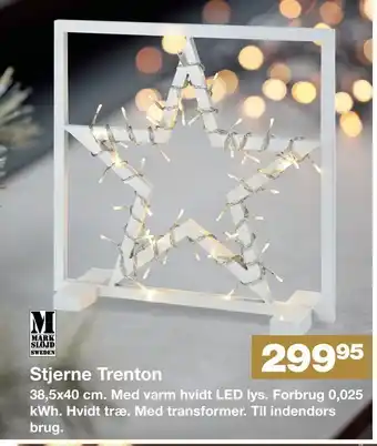 Stjerne trenton