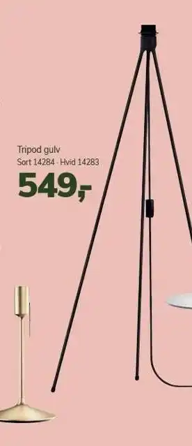 Tripod gulv
