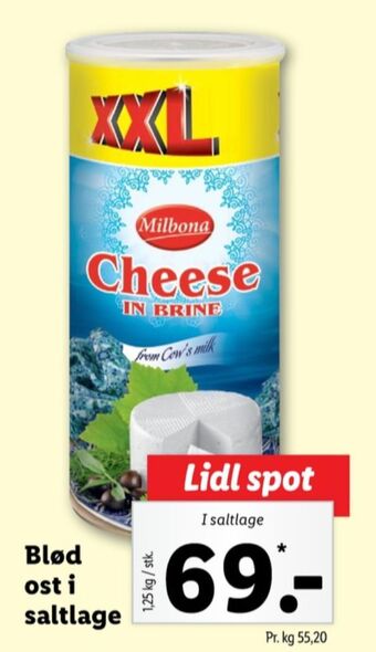 Lidl Milbona salatost tilbud