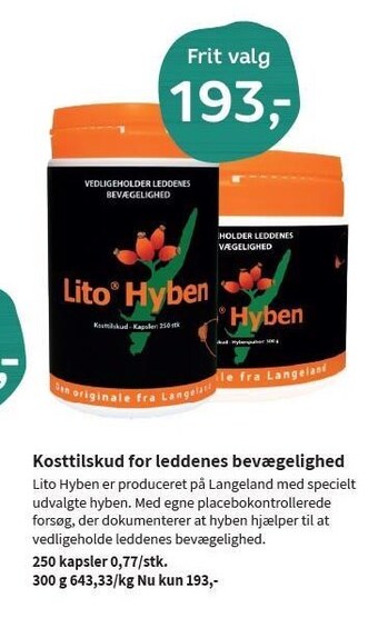 Lito hyben