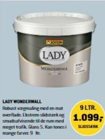 Lady Wonderwall