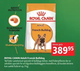 Royal canin adult fransk bulldog