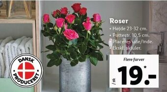 Lidl Roser tilbud