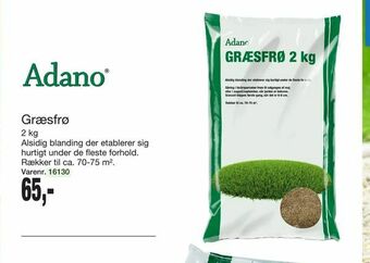 Harald Nyborg Græsfrø tilbud