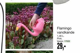 Harald Nyborg Flamingo vandkande tilbud