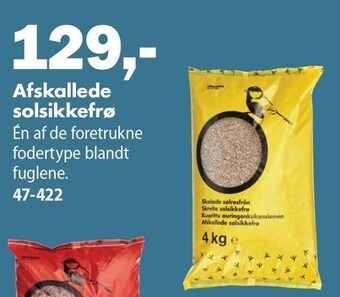 Biltema Afskallede solsikkefrø tilbud