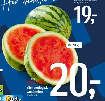 Føtex Stor økologisk vandmelon tilbud