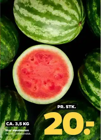 Netto Stor vandmelon tilbud