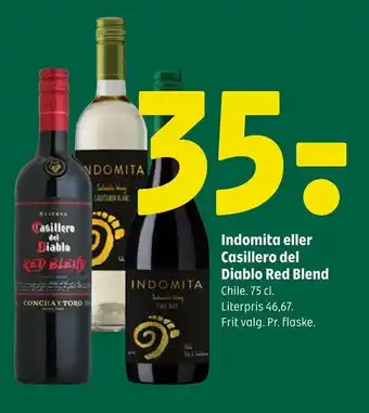 Coop 365 Indomita eller casillero del diablo red blend tilbud