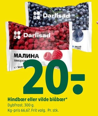 Coop 365 Hindbær eller vilde blåbær tilbud