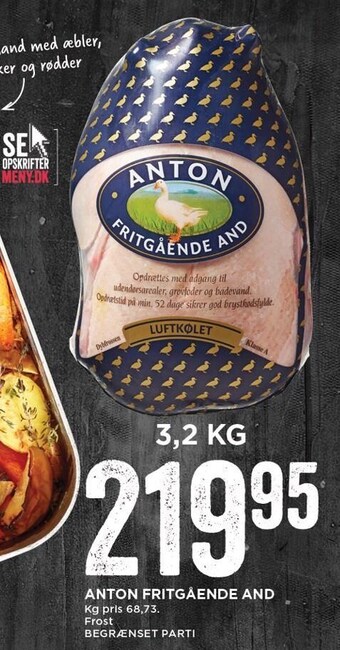 Anton fritgående and