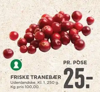 Friske tranebær