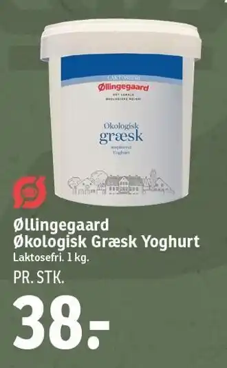 SPAR Øllingegaard øko græsk yoghurt tilbud