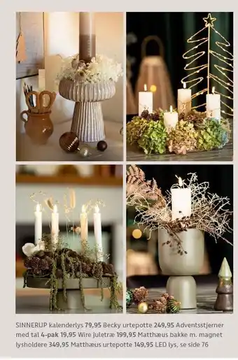 Sinnerup kalenderlys, adventsstjerner. m tal, wire juletræ, matthæus bakke m. magnet, lysholdere, urtepotte