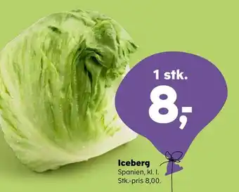 Iceberg