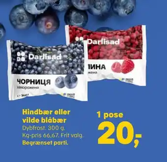 Kvickly Hindbær eller vilde blåbær tilbud