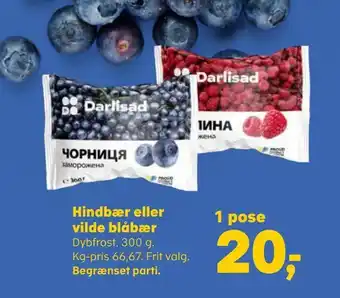 SuperBrugsen Hindbær eller vilde blåbær tilbud
