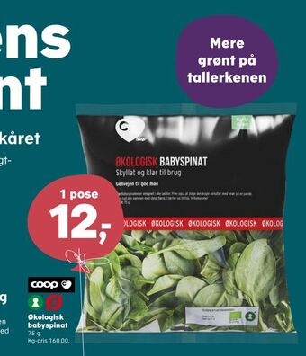 SuperBrugsen Økologisk babyspinat tilbud