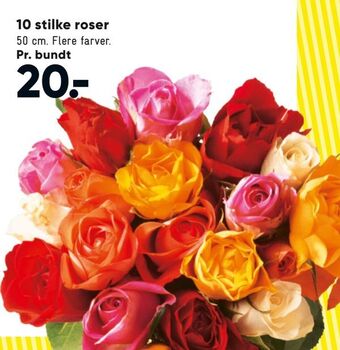 Bilka 10 stilke roser tilbud