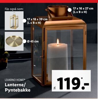 Lidl Lanterne/ pyntebakke tilbud