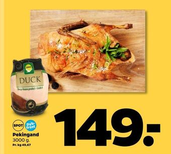 Netto Pekingand tilbud