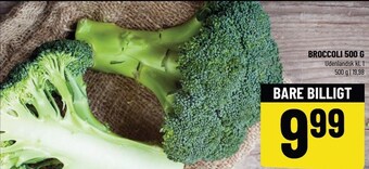 Løvbjerg Broccoli 500 g tilbud