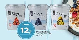Dybbækdal skyr blåbær