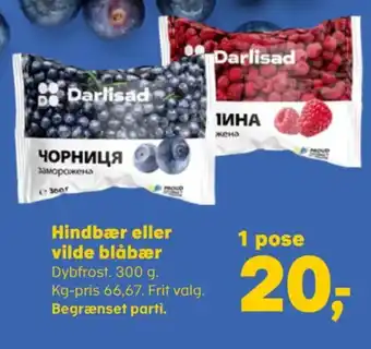 Darlisad bær
