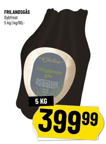 Julius gås