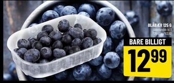 Løvbjerg Ukendt blåbær tilbud
