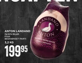 Anton and