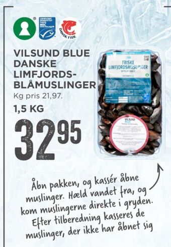 Vilsund blue muslinger