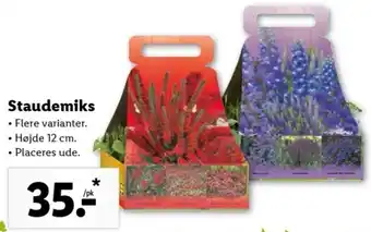 Lidl Staudemiks Hojde 12cm tilbud