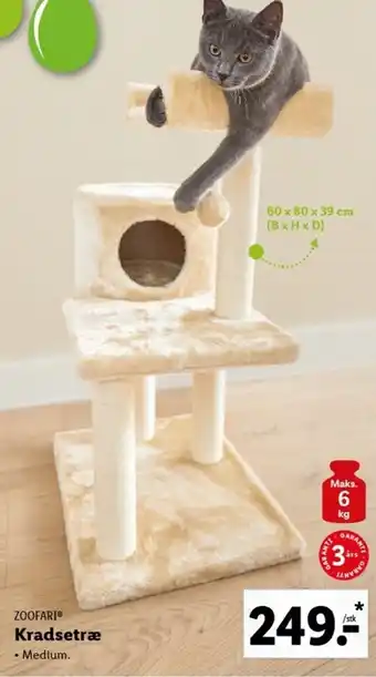 Lidl Kradsetræ Medium tilbud