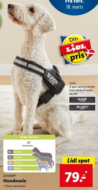Lidl Hundesele tilbud