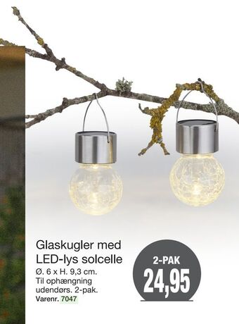 Harald Nyborg Glaskugler med led-lys solcelle tilbud
